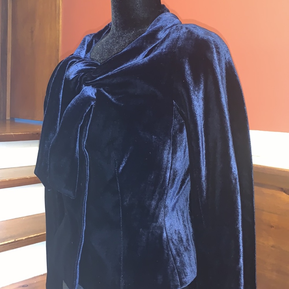 - Alberta Ferretti Velvet Blazer - - Picture 3 of 10